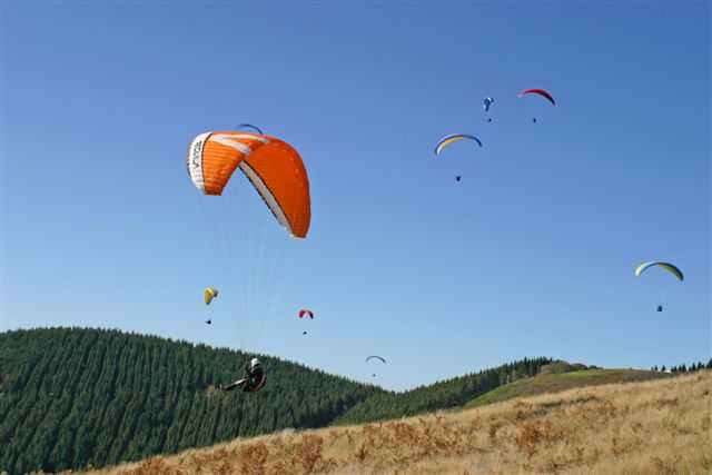 Enlarge IMG_8365 016.JPG