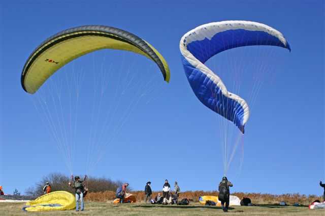 Enlarge IMG_8374 025.JPG