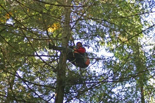 Enlarge IMG_8379 030.JPG