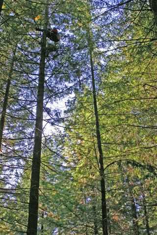 Enlarge IMG_8380 031.jpg