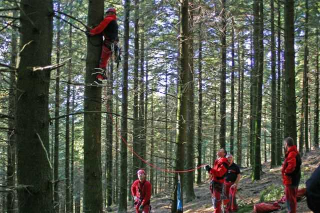 Enlarge IMG_8393 044.JPG