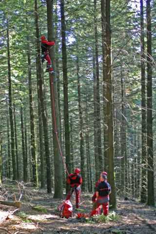 Enlarge IMG_8395 046.JPG