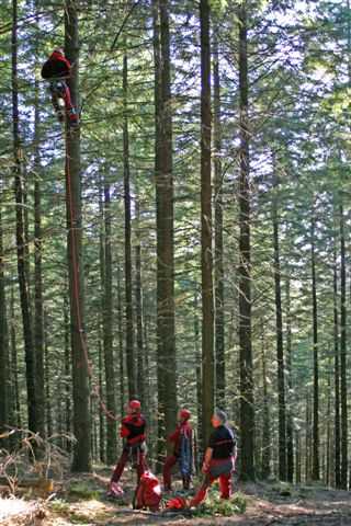 Enlarge IMG_8397 048.JPG