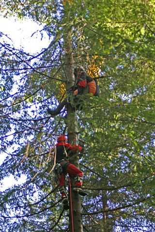 Enlarge IMG_8402 053.JPG