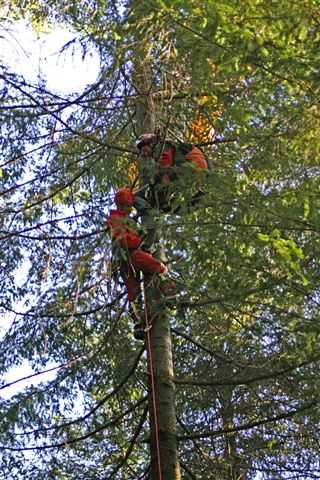 Enlarge IMG_8403 054.JPG