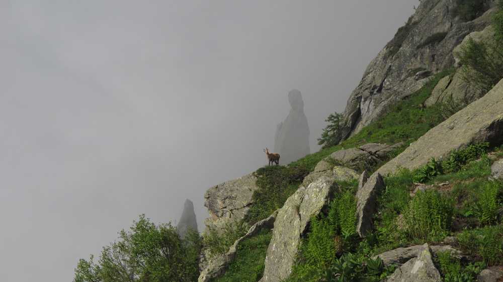 Enlarge _2013-06-21_5914.jpg