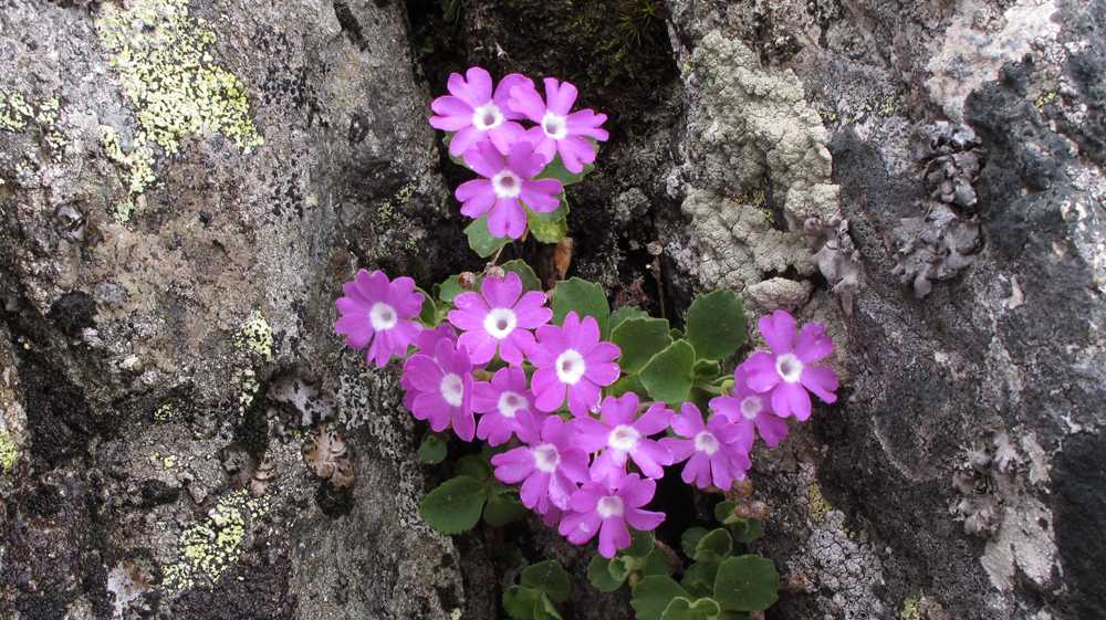 Enlarge _2013-06-21_5978.jpg