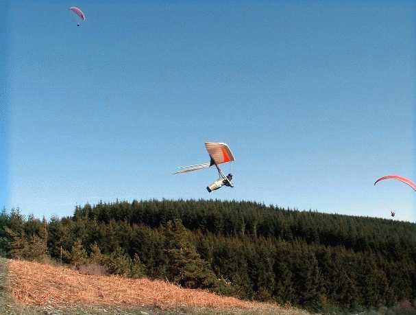 Enlarge DSCF0020.JPG