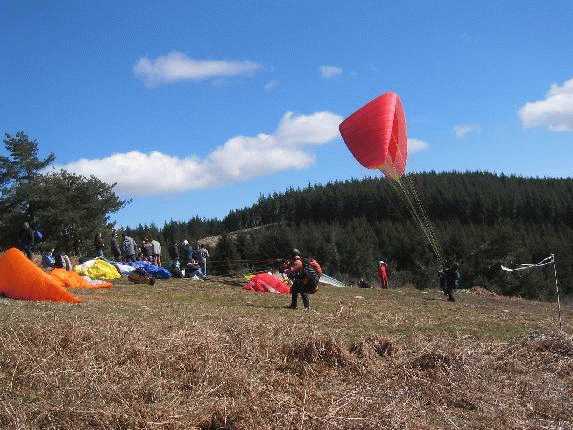 Enlarge IMG_1436.JPG