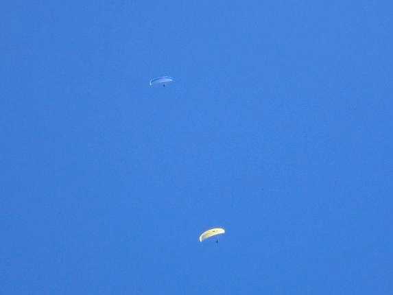 Enlarge IMG_1437.JPG