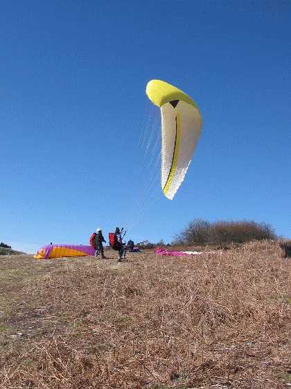 Enlarge rass_mone_13mars_008.jpg