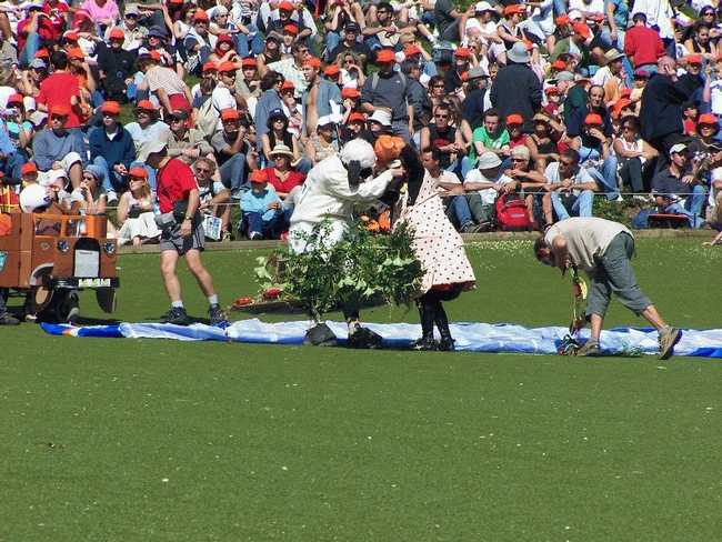 Enlarge Icare2005_Deguisement1.jpg