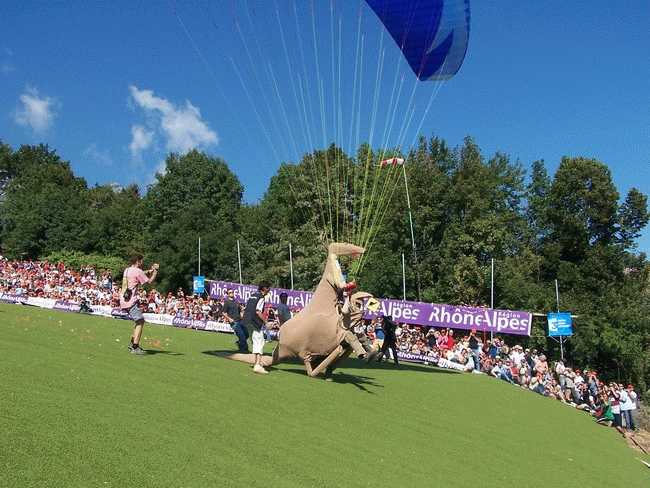 Enlarge Icare2005_Kangourou.jpg