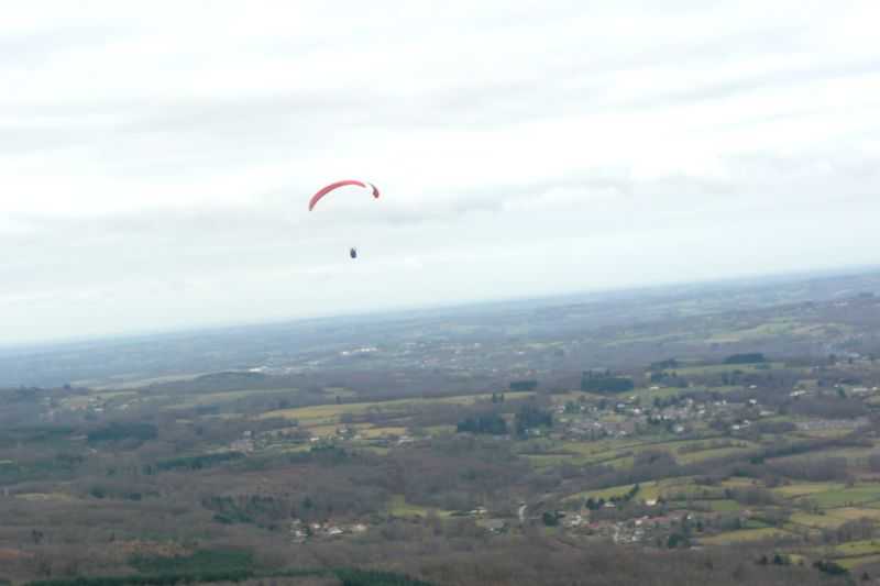 Enlarge P1000788.JPG