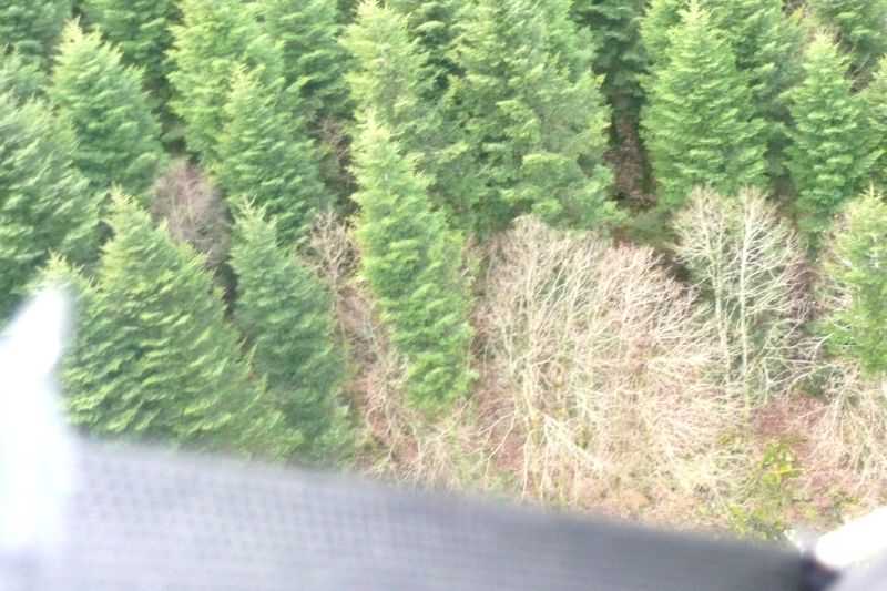 Enlarge P1000789.JPG