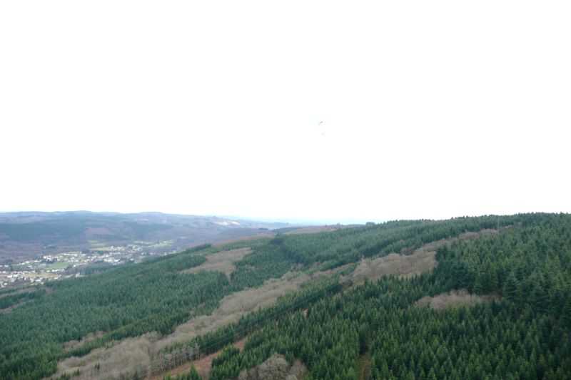 Enlarge P1000796.JPG