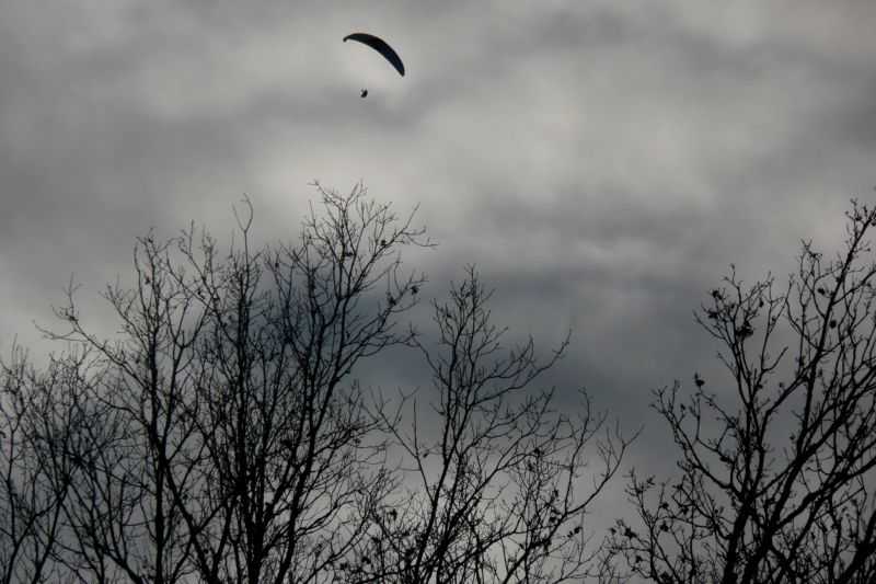 Enlarge P1000805.JPG