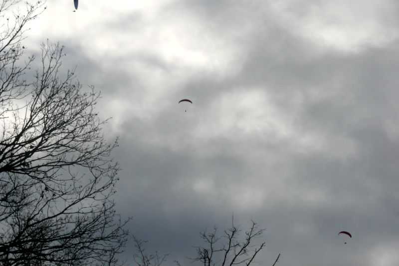 Enlarge P1000806.JPG