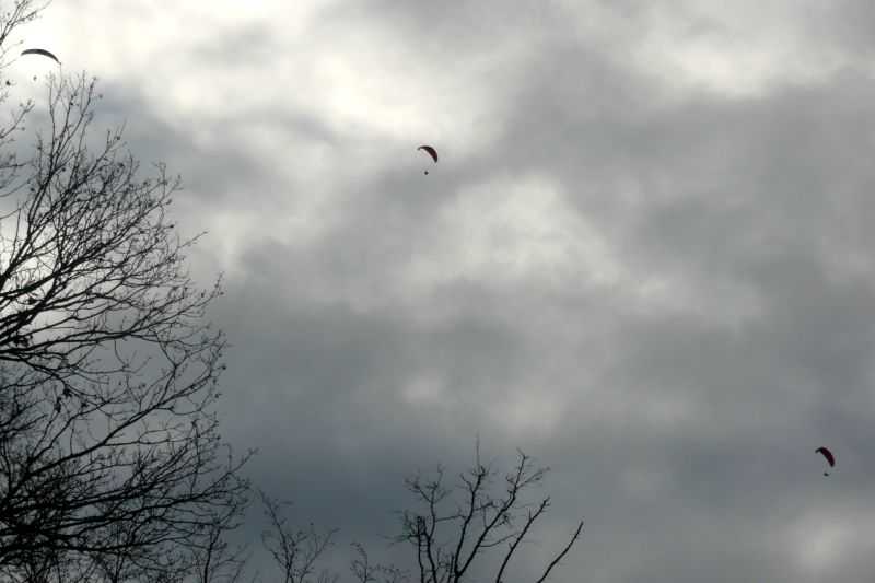 Enlarge P1000807.JPG