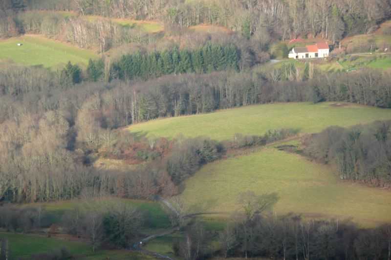 Enlarge P1000817.JPG