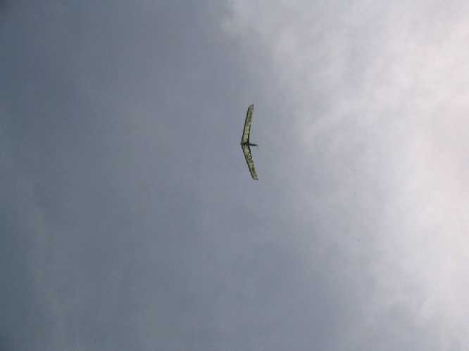 Enlarge IMG_2142.JPG