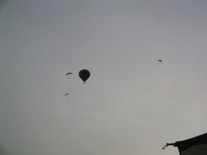 Enlarge IMG_2171.JPG