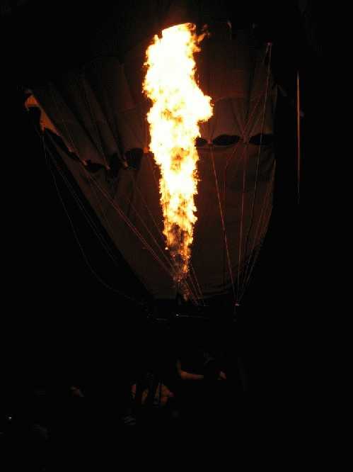 Enlarge IMG_2246.JPG