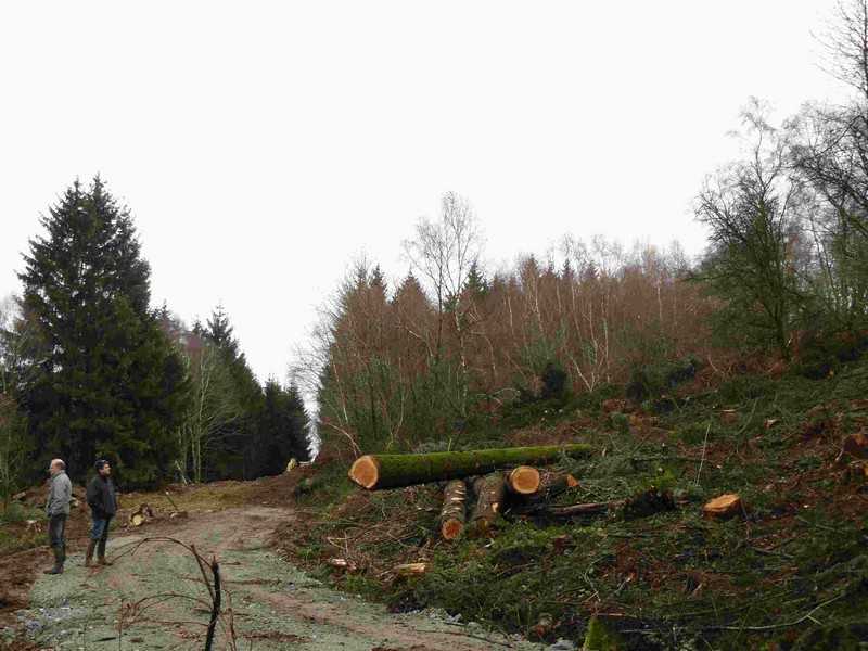 Enlarge travaux_056COMP.jpg