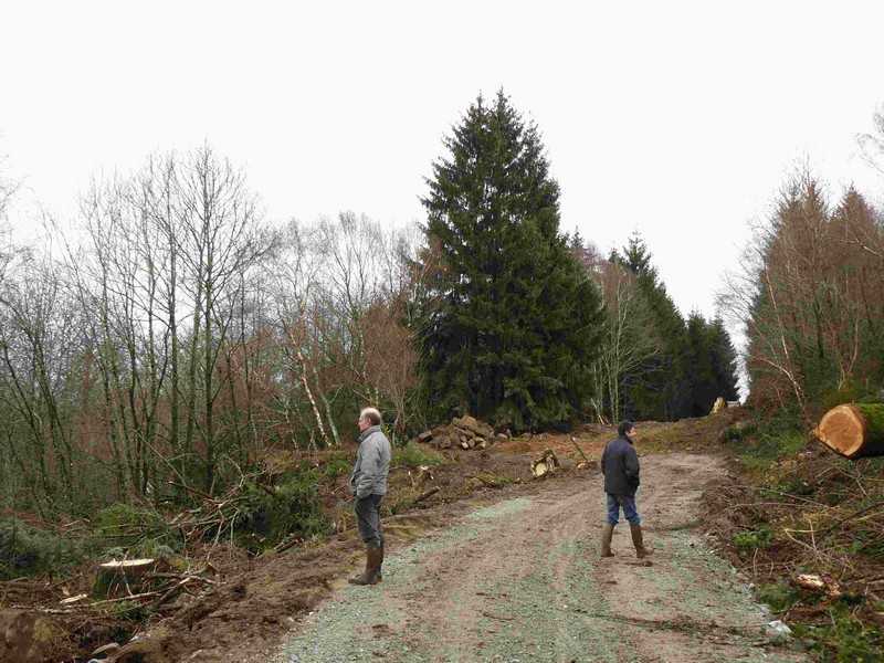 Enlarge travaux_057COMP.jpg