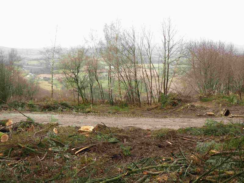 Enlarge travaux_058COMP.jpg