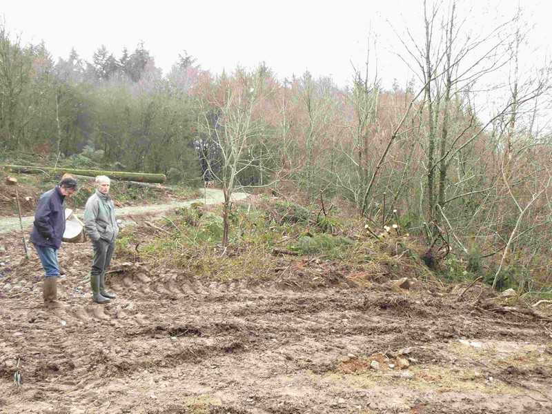 Enlarge travaux_059COMP.jpg