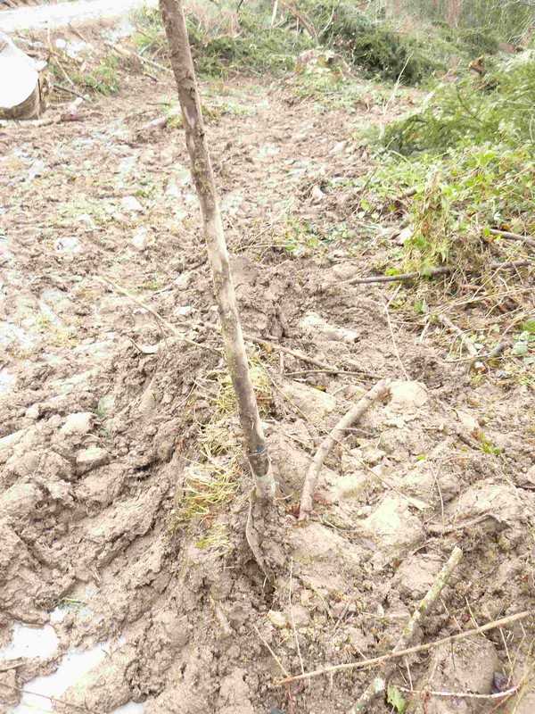 Enlarge travaux_060COMP.jpg