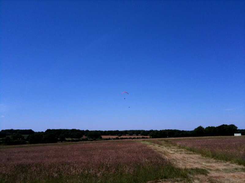 Enlarge IMG_0861.jpg