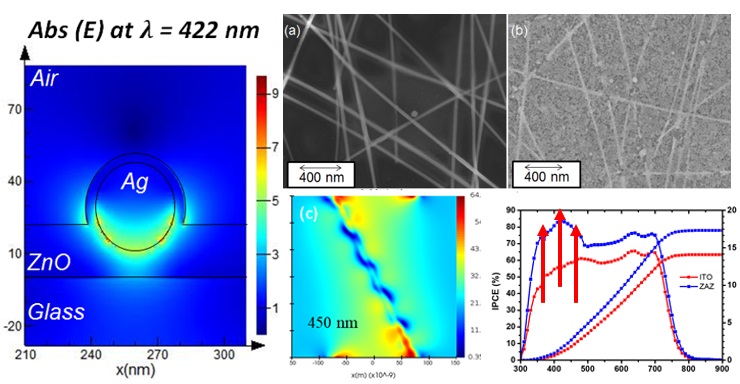 Illustration of plasmonic nanostructures and electrodes