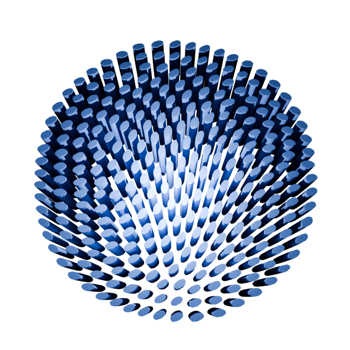 2D anisotropic morphogenetic pattern