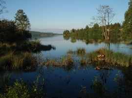 Vassivière