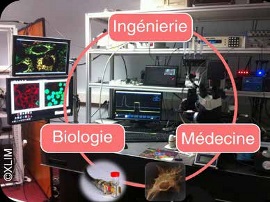 De l’ingénierie à la médecine bioélectronique