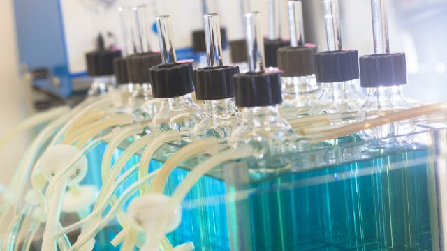 RESINFIT - Anti-Infectieux : supports moléculaires des résistances et innovations thérapeutiques