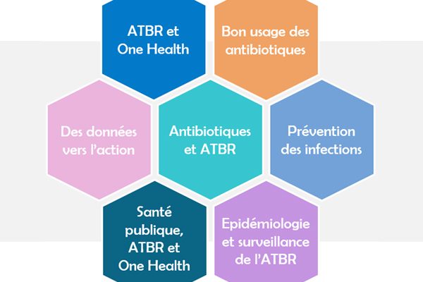 DU Antibiorésistance et approche globale One Health