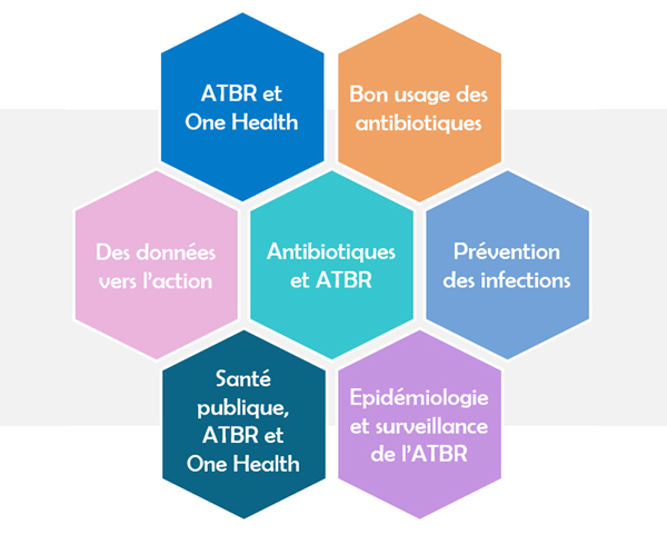 DU Antibiorésistance et approche globale One Health