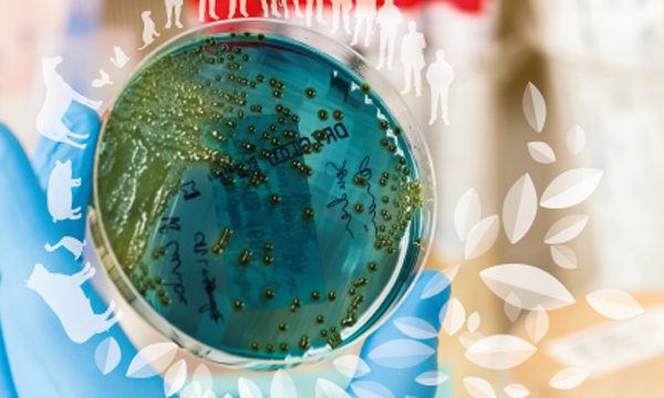 Edito antibiorésistance