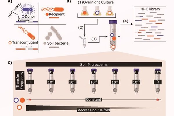 Publication RESINFIT Thibault Stalder
