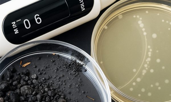 Publication Gaschet Dagot Juin 2025 RESINFIT