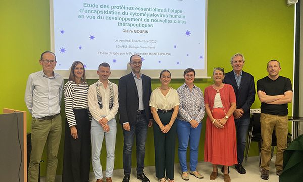 Thèse Claire Gourin