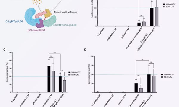 Publication Virologie RESINFIT Octobre 2025