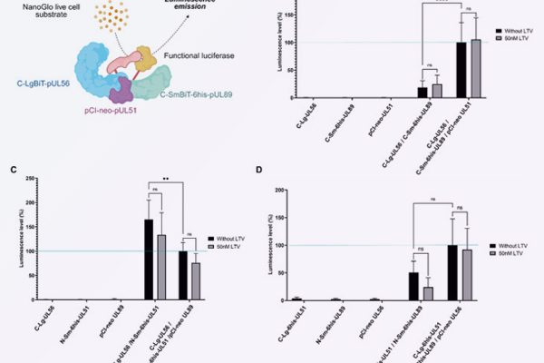 Publication Virologie RESINFIT Octobre 2025
