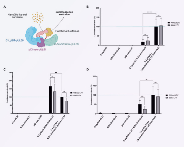 Publication Virologie RESINFIT Octobre 2025