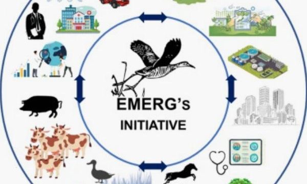 PSGAR EMERG publication resinfit