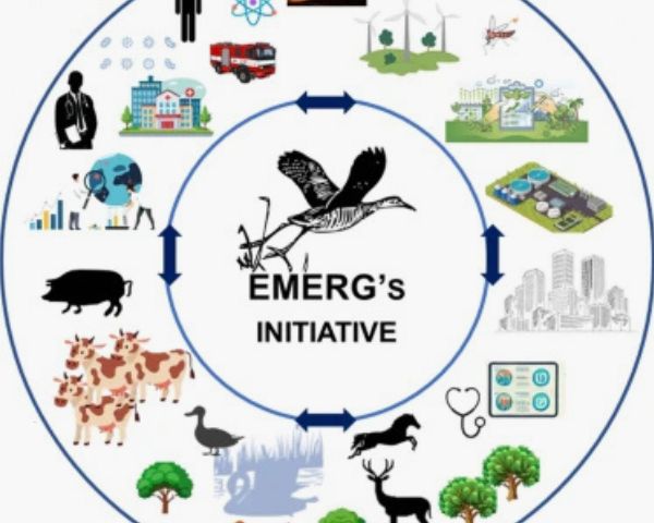 PSGAR EMERG publication resinfit