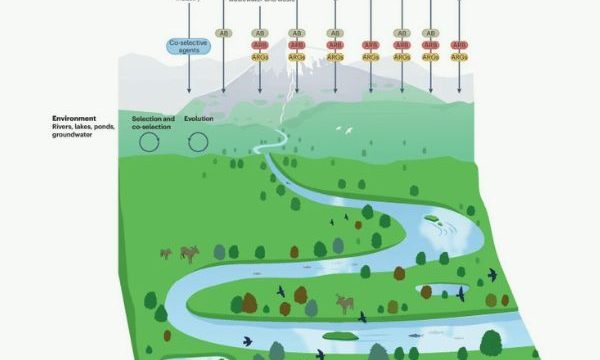 Publication Nature Sustainability Janvier 2026